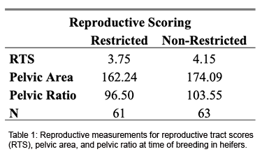 Table 1. Reproductive scoring of restricted and non-restricted average daily gain heifer groups.