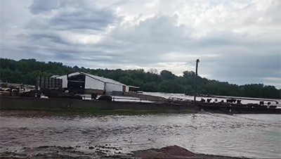 Water flowing through cattle feedlot.