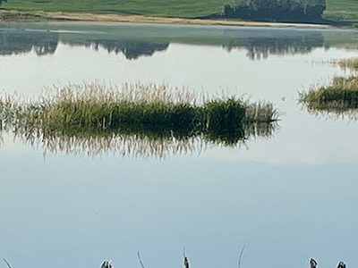 Flooded fields.